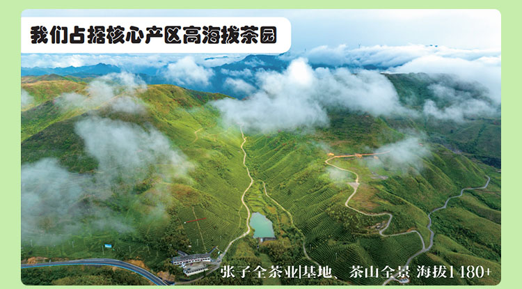 毛尖茶啤_毛尖精酿啤酒_毛尖茶啤中式精酿啤酒_张子全都匀毛尖啤酒
