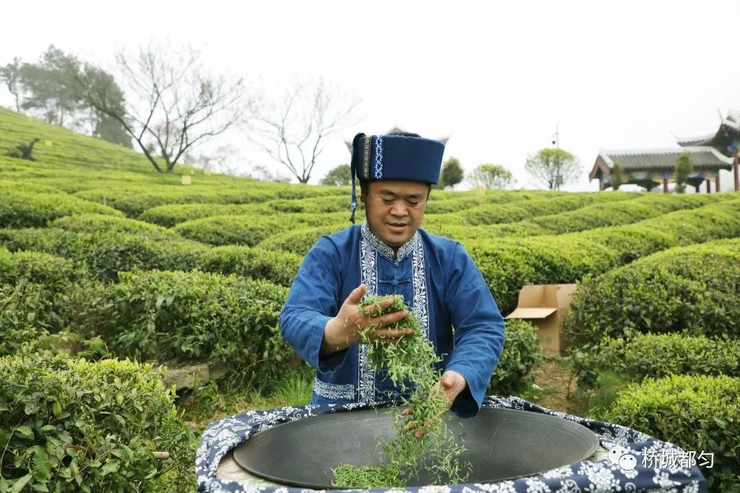 “老”茶喝出新韵味(图6)