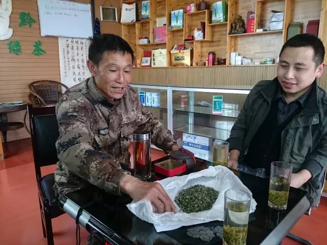 毛主席曾批示过的好茶叶 到底好在哪儿？(图4)