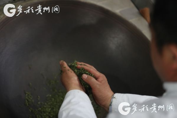 原来1915年在巴拿马博览会获得金奖的不止茅台 还有来自贵州大山深处的它！(图4)