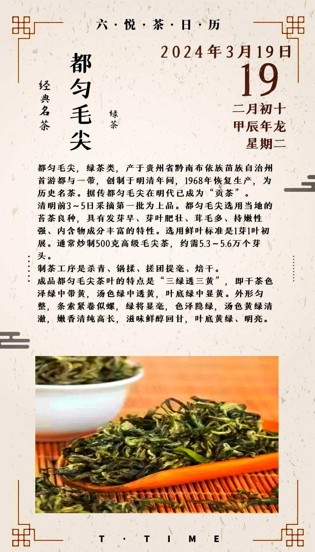 探秘都匀毛尖：千年贡茶的韵味(图1)