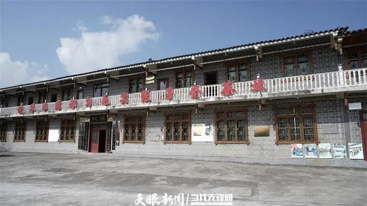 茶山藏不住毛尖香(图4)