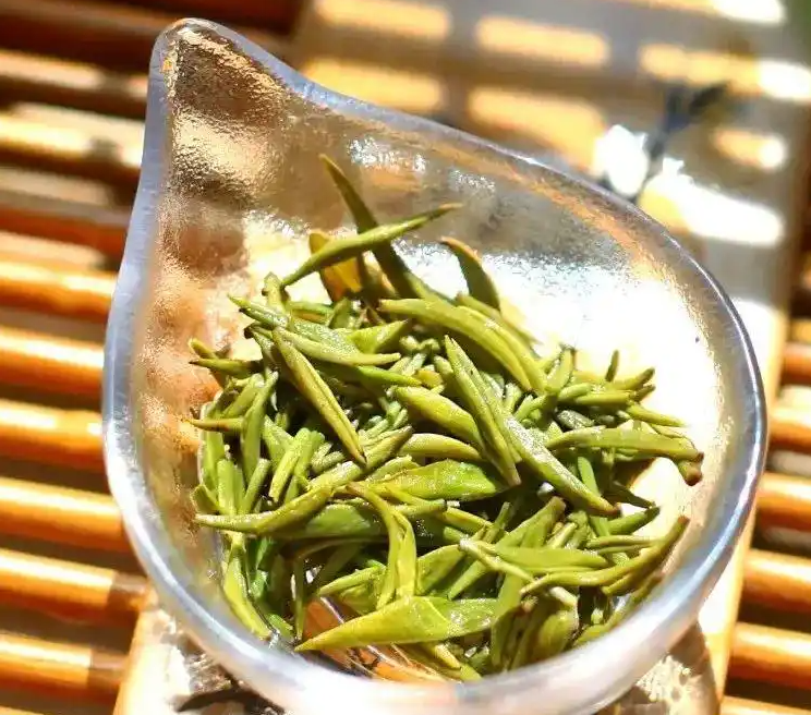 都匀毛尖：绿茶中的翡翠明珠(图5)
