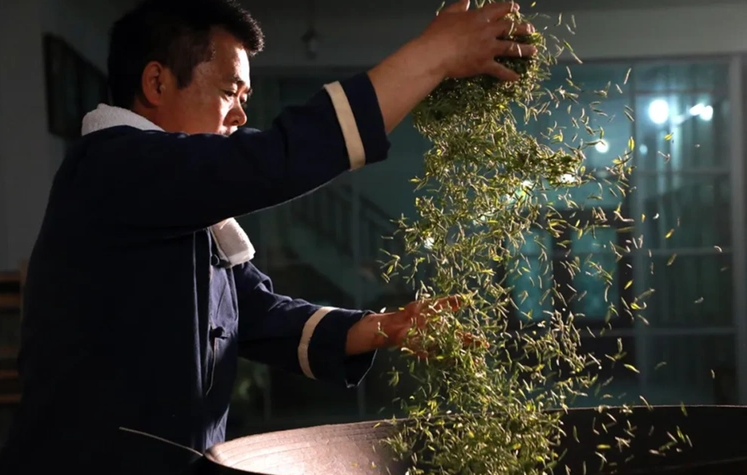 都匀毛尖：绿茶中的翡翠明珠(图3)