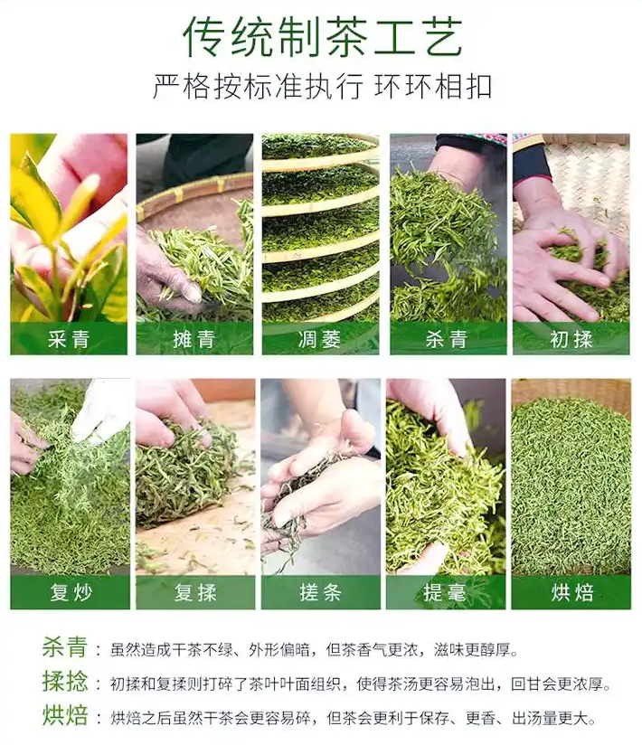 都匀毛尖：千年贡茶的现代演变与魅力(图3)
