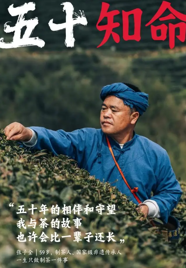 风向已变！今夏，张子全都匀毛尖茶啤或将成为啤酒新宠(图2)